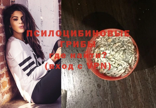 прущий лед Аркадак