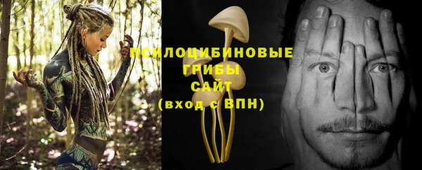 прущий лед Аркадак