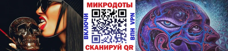Псилоцибиновые грибы Psilocybe  Гаврилов-Ям 