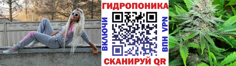 Бошки Шишки план  продажа наркотиков  Гаврилов-Ям 